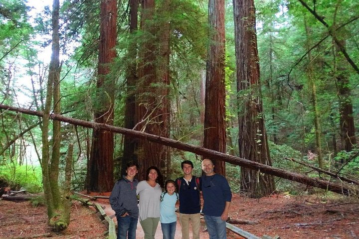 Embark on an Epic Muir Woods and Wine Country Adventure! - Photo 1 of 25